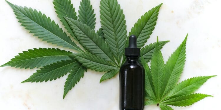 Olejek CBD opinie - czy warto stosować w 2024? Olejek CBD opinie - czy warto stosować w 2023?