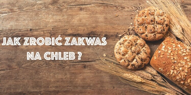 Jak zrobić zakwas na chleb? Prosty przepis w 5 krokach Jak zrobić zakwas na chleb