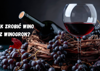 Jak zrobić wino z winogron?