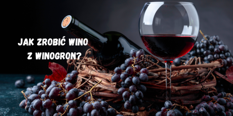 Jak zrobić wino z winogron? Przewodnik Krok po Kroku Jak zrobić wino z winogron?