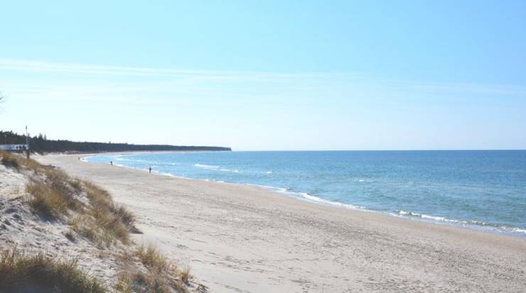 12 Najpiękniejsze Plaże w Polsce: Nieznane Zatoki i Dzikie Wybrzeża Dzikie wybrzeże w Grzybowie