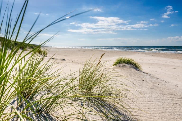 12 Najpiękniejsze Plaże w Polsce: Nieznane Zatoki i Dzikie Wybrzeża Naturalna plaża w Orlu (Wyspa Sobieszewska)