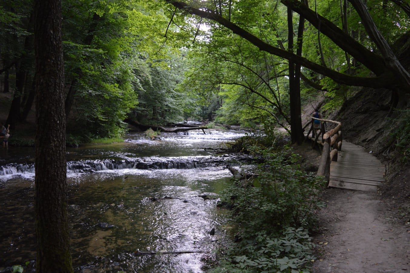 Szumy nad Tanwią