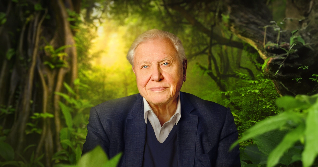 Elderly man in a suit sitting in a lush, green forest with sunlight filtering through the trees.