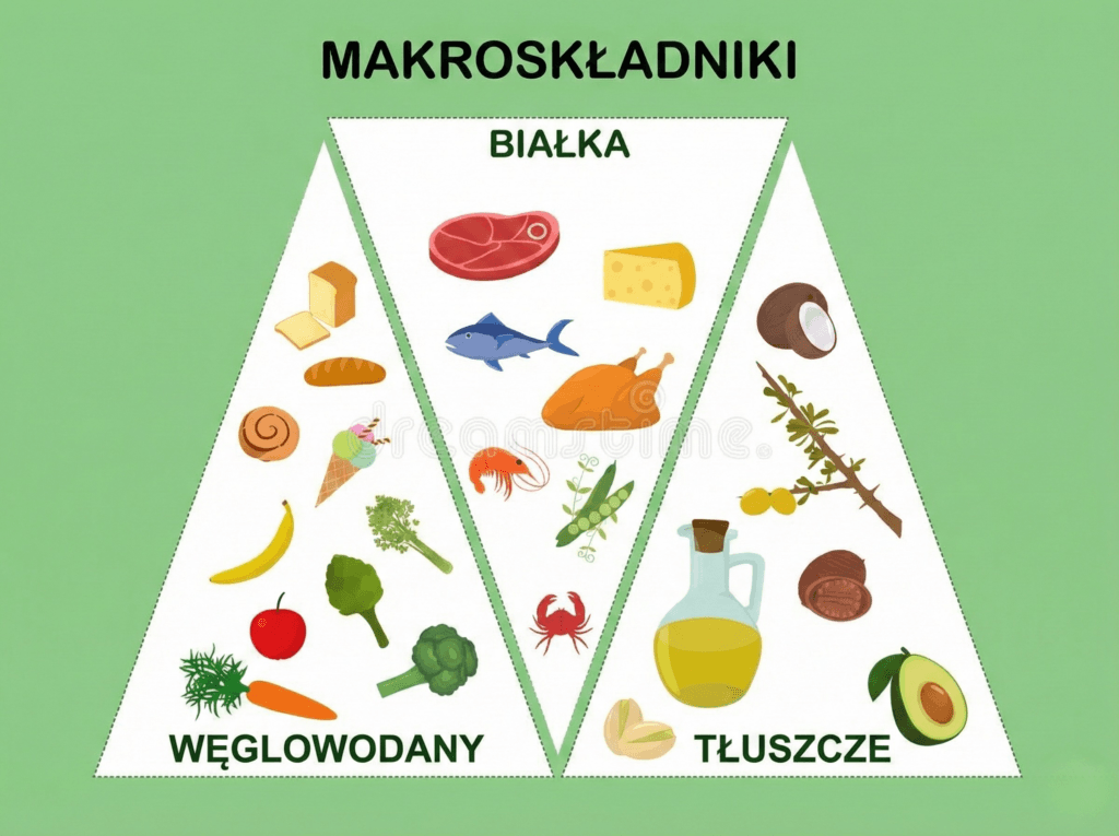 Nowe podejście do białka, tłuszczów i węglowodanów